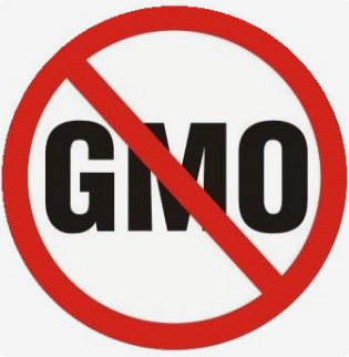 Krmivá bez GMO - skutočne zdravé a prospešné