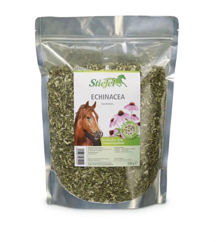 Echinacea - imunita
