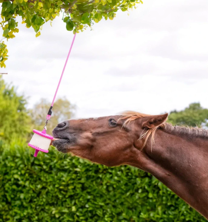Držiak na lízatká