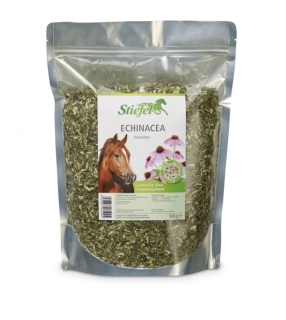 Echinacea - imunita